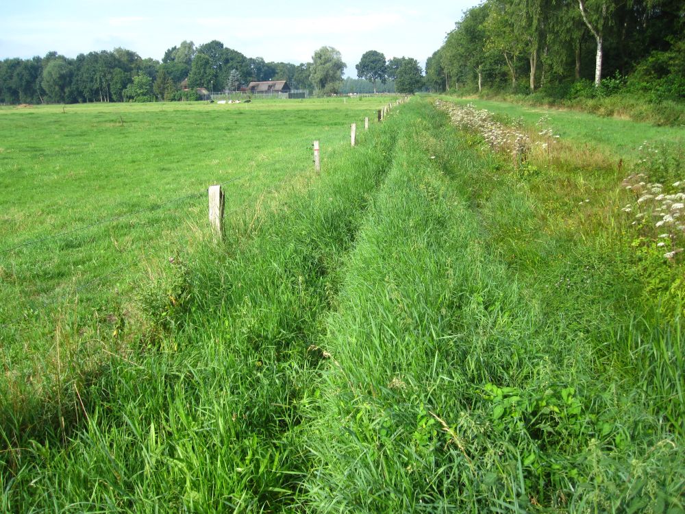 Maatwerk voor achterblijvers van vermiste personen