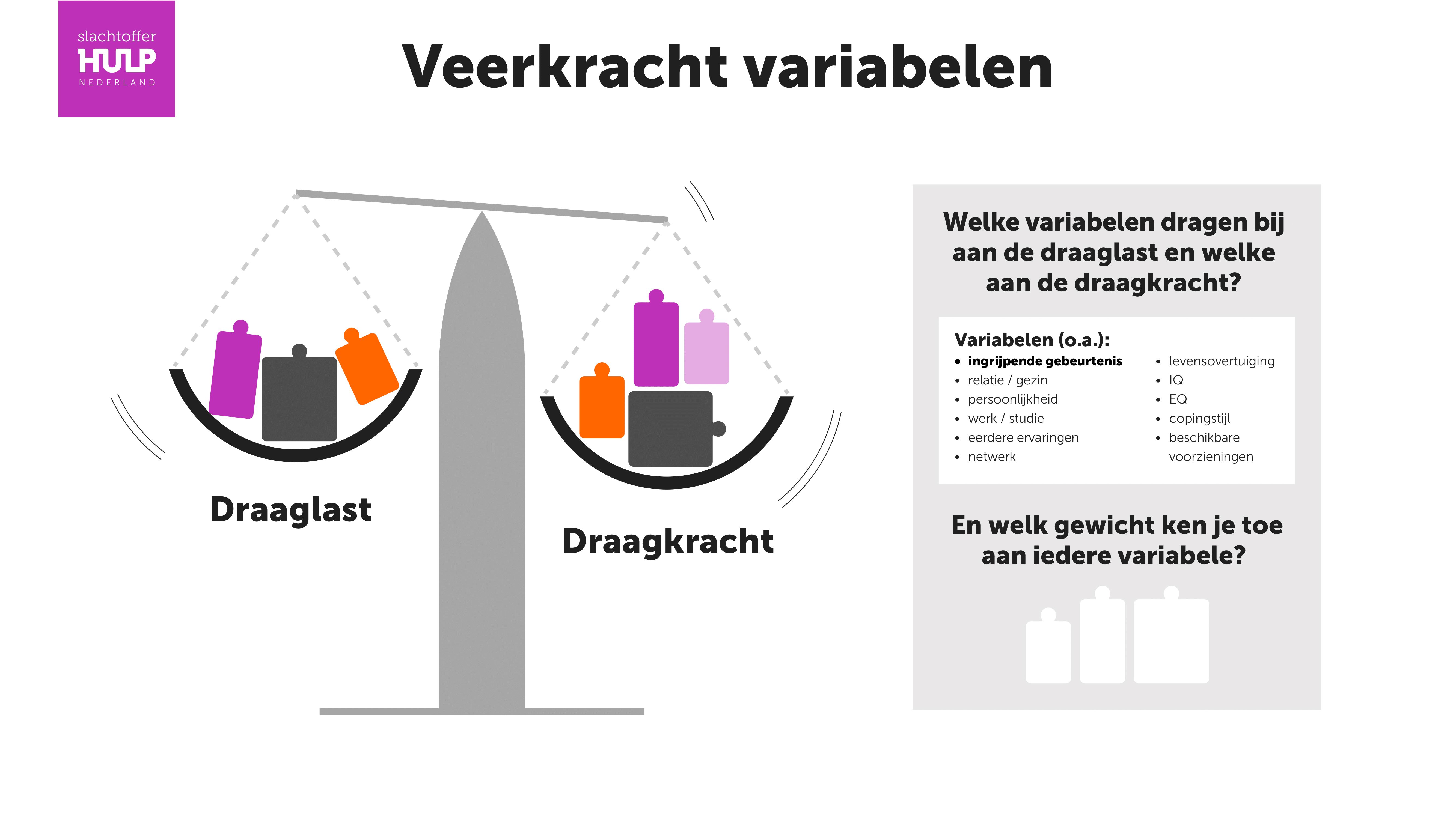 Infographic met uitleg over veerkracht