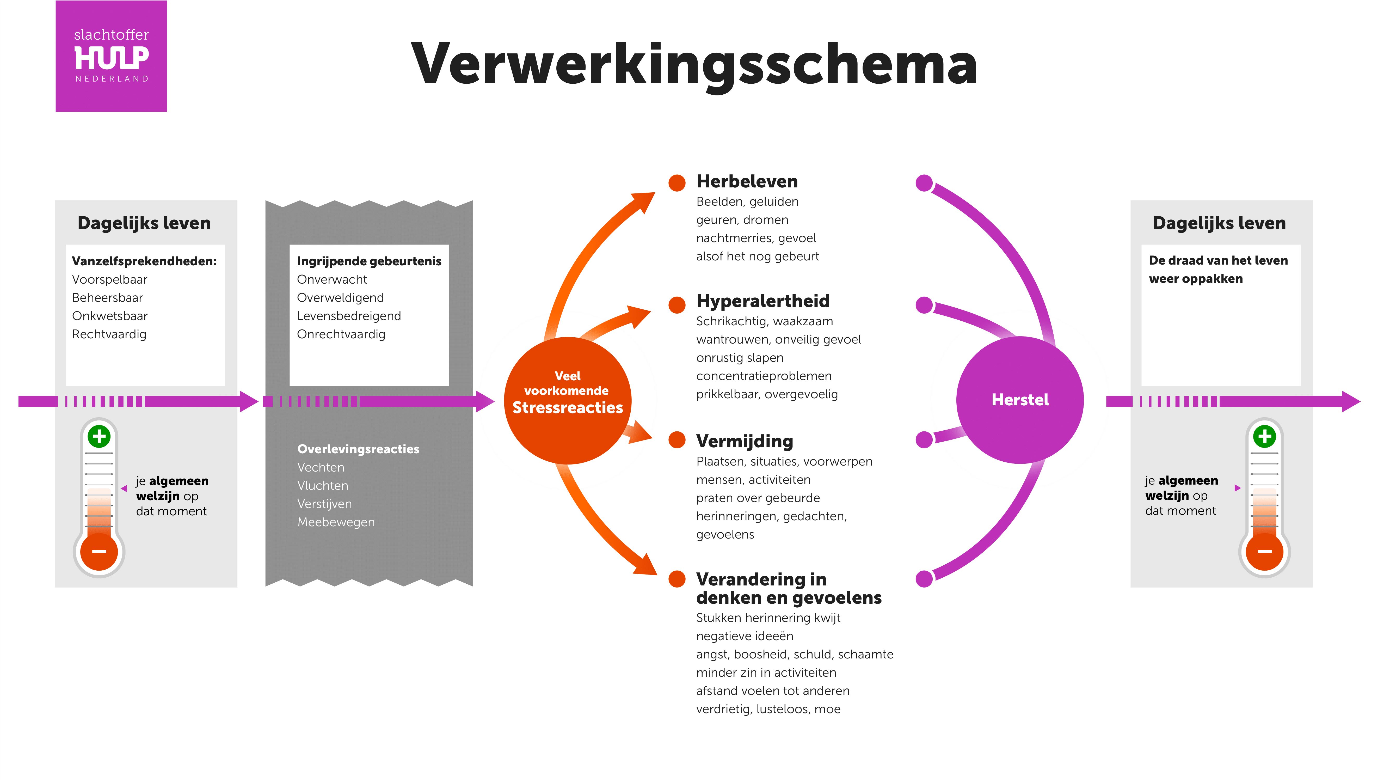 Infographic met uitleg over de verwerking van een ingrijpende gebeurtenis